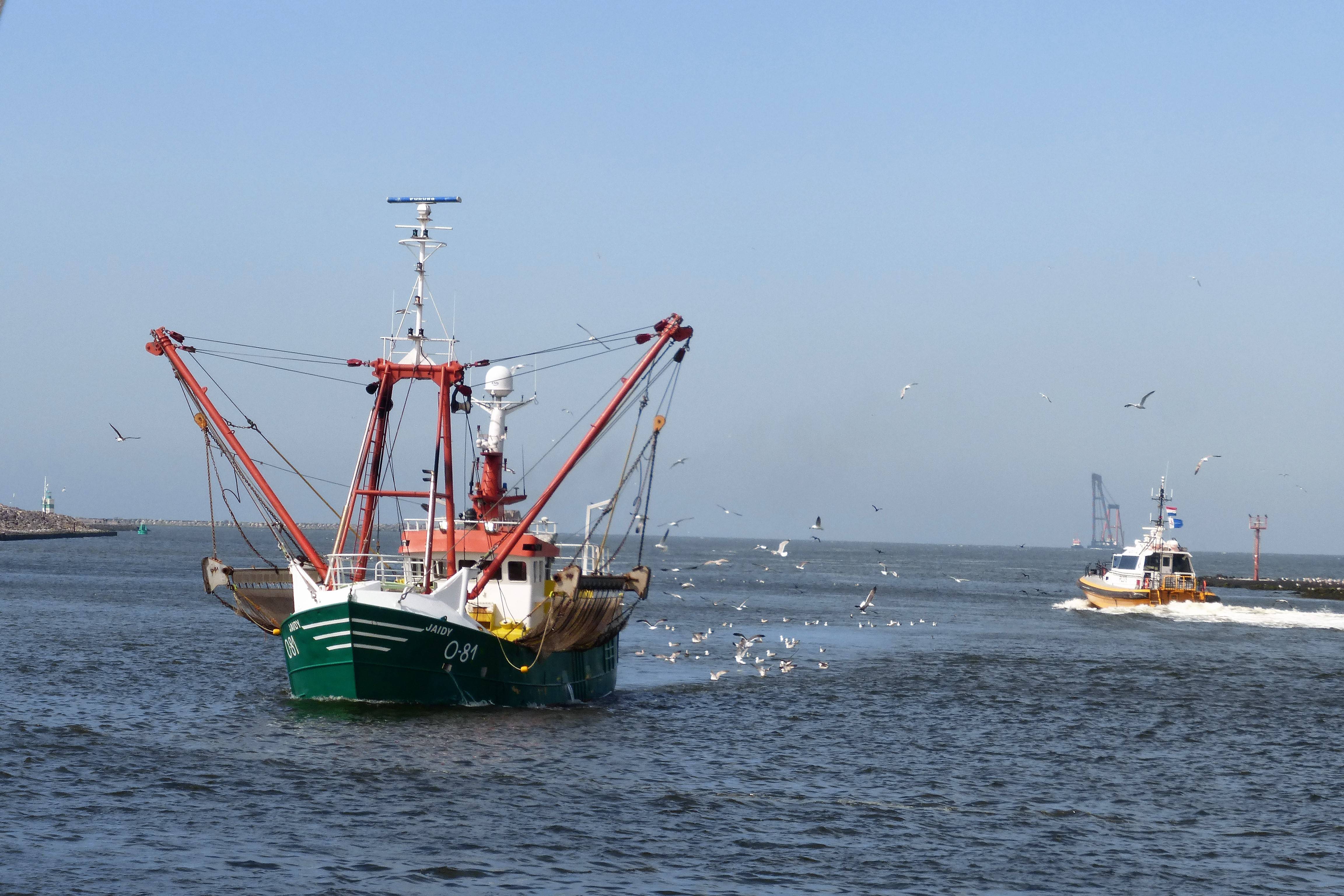 Pieren IJmuiden   26-04-19 